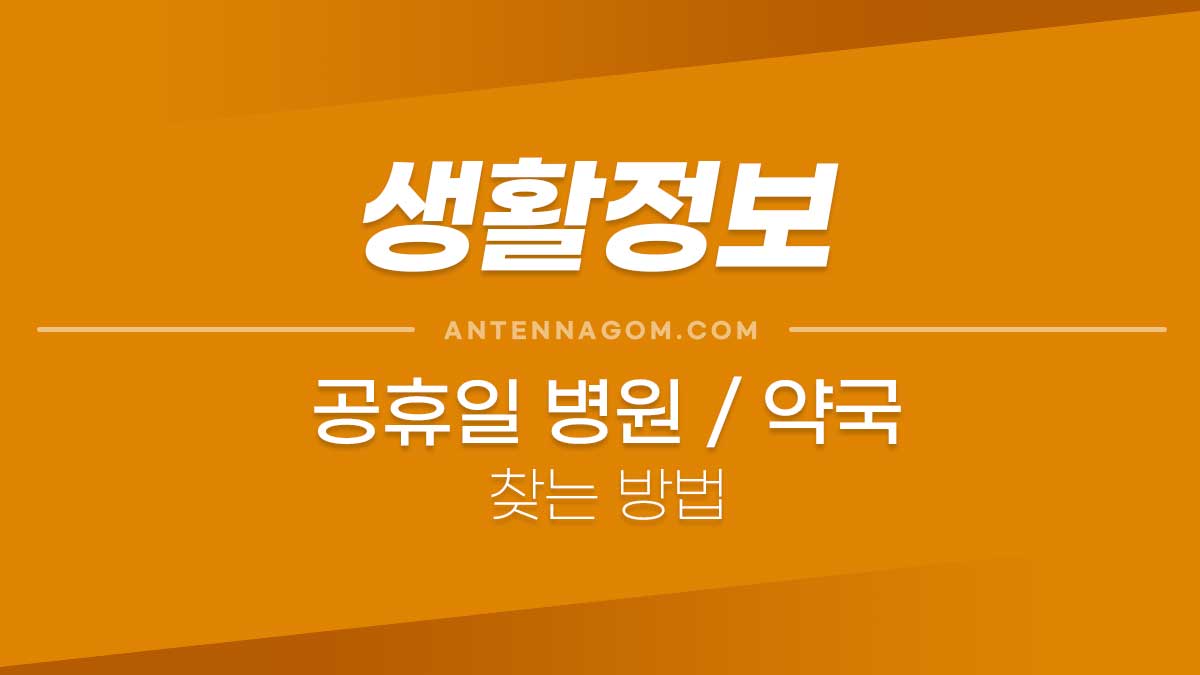 공휴일, 심야 운영 약국 / 일요일 진료가능 병원 찾기 36
