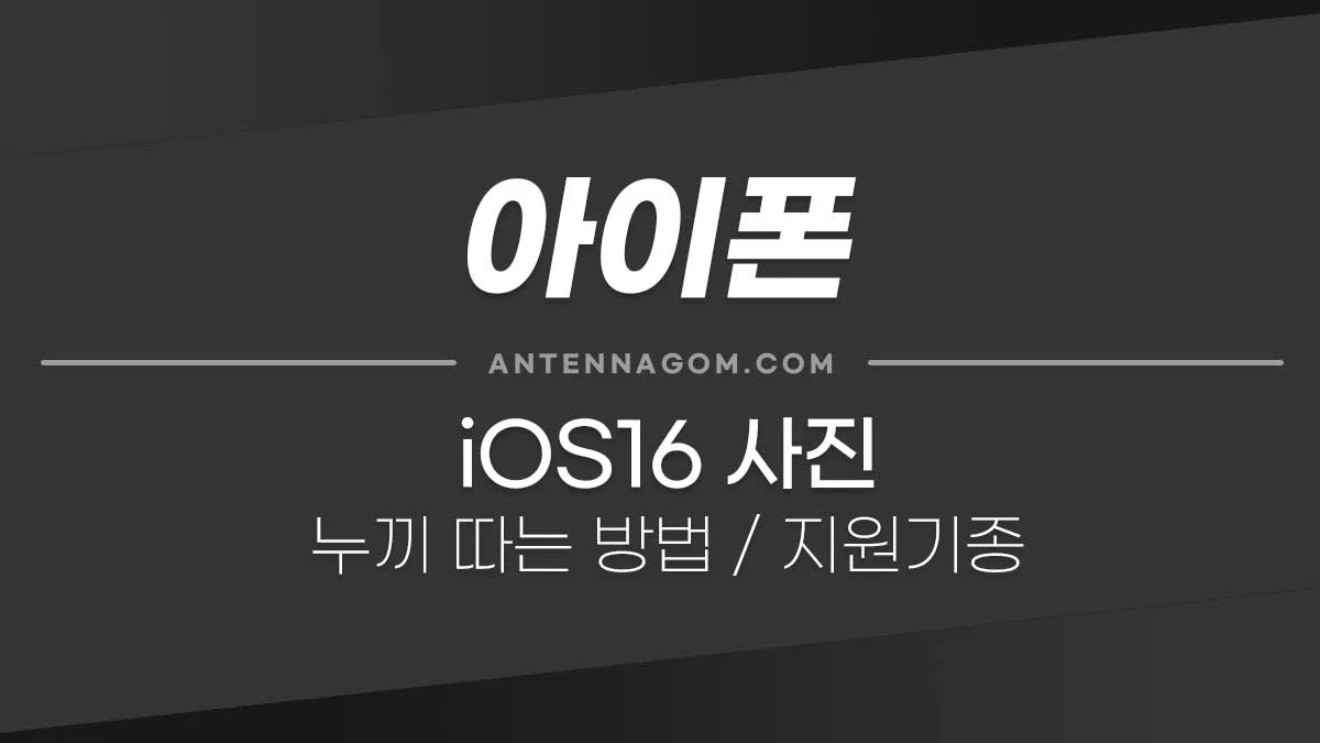 iOS16 아이폰 누끼따기 방법 (붙여넣기, 저장, 배경 투명) / 지원 기종 2