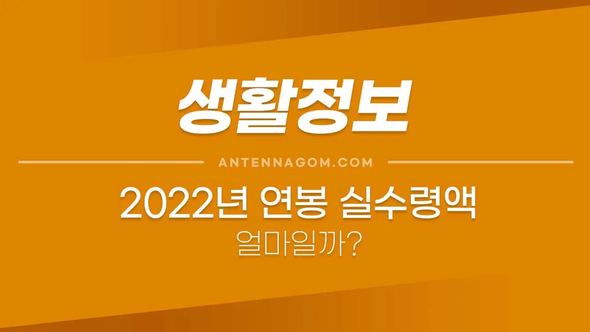 2021년연봉실수령액