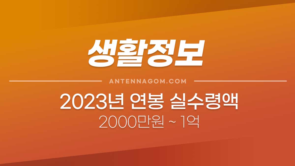 2023년 연봉 실수령액, 내 월급 계산하기