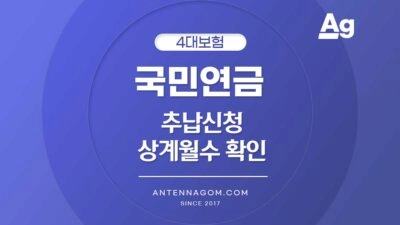 국민연금 추납신청 상계월수 확인