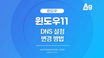 윈도우11 DNS 설정 변경