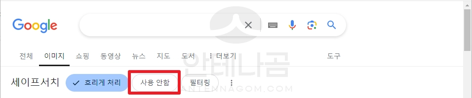 세이프 서치 사용안함