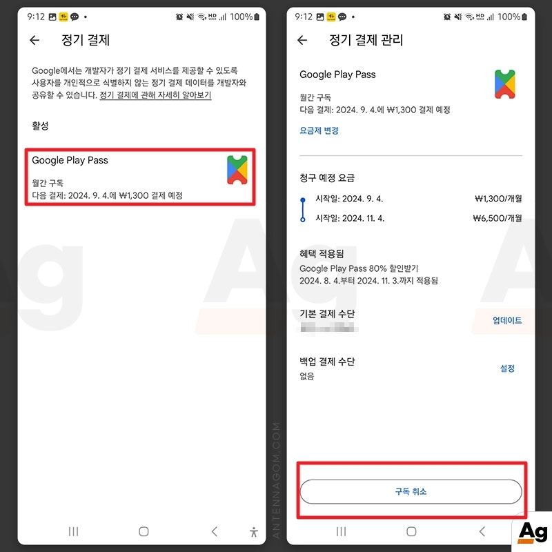 정기결제목록에서 구글 플레이 패스 선택