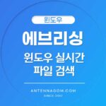 에브리싱 윈도우 실시간 파일 검색