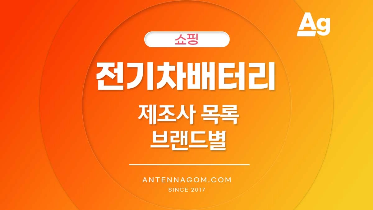 전기차 배터리 제조사