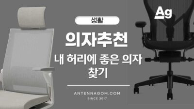 의자 추천 - 내 허리에 좋은 의자