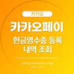 카카오페이 현금 영수증 등록 내역 조회