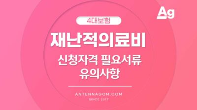 재난적 의료비 신청