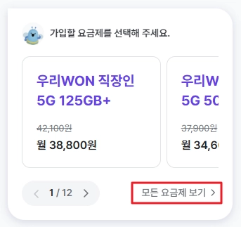 요금제 선택