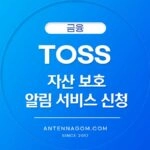 토스 자산 보호 서비스