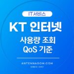 kt 인터넷 사용량 조회