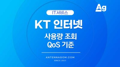 kt 인터넷 사용량 조회