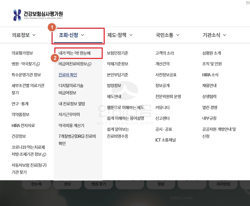 건강보험심사평가원 조회 신청