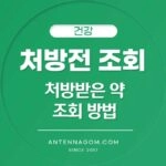 처방전 조회