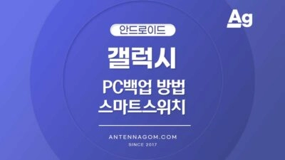 스마트 스위치 백업 방법