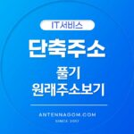 단축주소 풀기