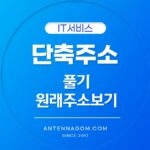 단축주소 풀기