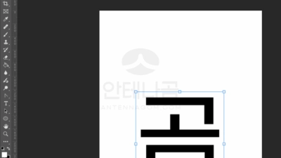 포토샵 자유변형