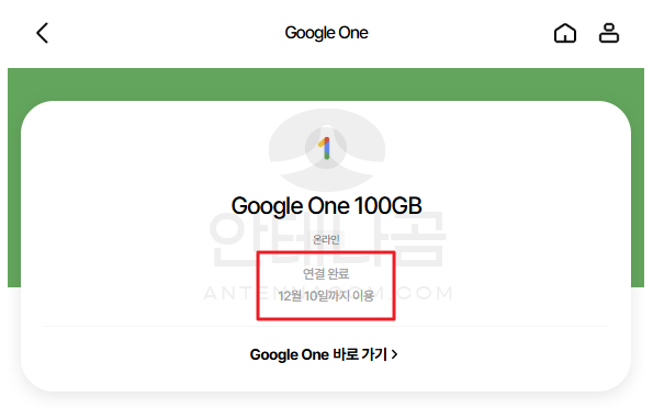 구글 원 계정 연결 확인