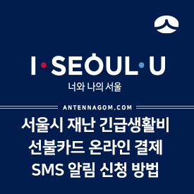 서울시 재난 긴급 생활비 선불 기프트카드 온라인 결제, 사용내역 SMS 알림 신청하는 방법 4