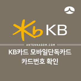 KB국민카드 모바일 단독카드 카드번호 확인