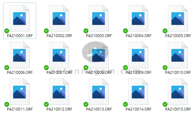 윈도우10 RAW 파일 미리보기 2