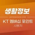KT 멤버십 포인트 사용처 / 할인 / 등급기준 VIP, VVIP, 더블할인 (2022) 1