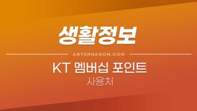 KT 멤버십 포인트 사용처 / 할인 / 등급기준 VIP, VVIP, 더블할인 (2022) 3