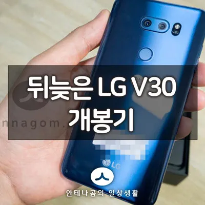 V30개봉기_1