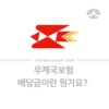 우체국보험 배당금이란? 지급받는 게 좋을까? 1