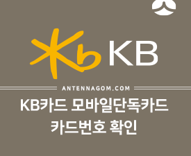 KB국민카드 모바일단독카드 카드번호 확인 / 삼성페이에 등록하는 방법 3
