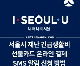 서울시 재난 긴급 생활비 선불 기프트카드 온라인 결제, 사용내역 SMS 알림 신청하는 방법 2