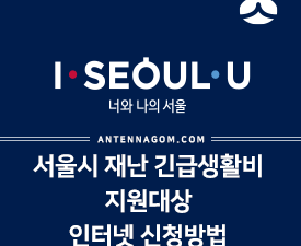서울시 재난 긴급생활비 지원대상과 인터넷 신청방법 10