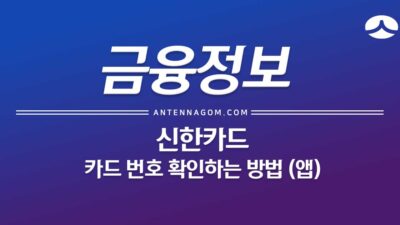 신한카드 카드번호 확인하는 방법 (앱) 20