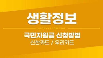 국민지원금 신한카드 신청방법 / 우리카드 신청방법 (온라인) 24