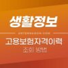 고용보험 가입이력조회 방법 (고용보험 가입내역서 발급, 가입기간 조회) 3