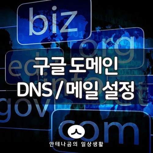 구글_도메인_DNS_설정