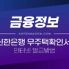무주택 확인서 발급 받는 방법 (신한은행 인터넷 발급 방법) 4