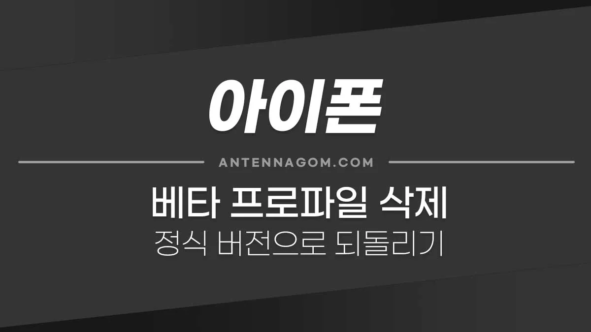 베타프로파일삭제_표지