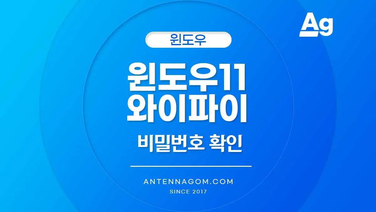 윈도우11 와이파이 비밀번호 확인