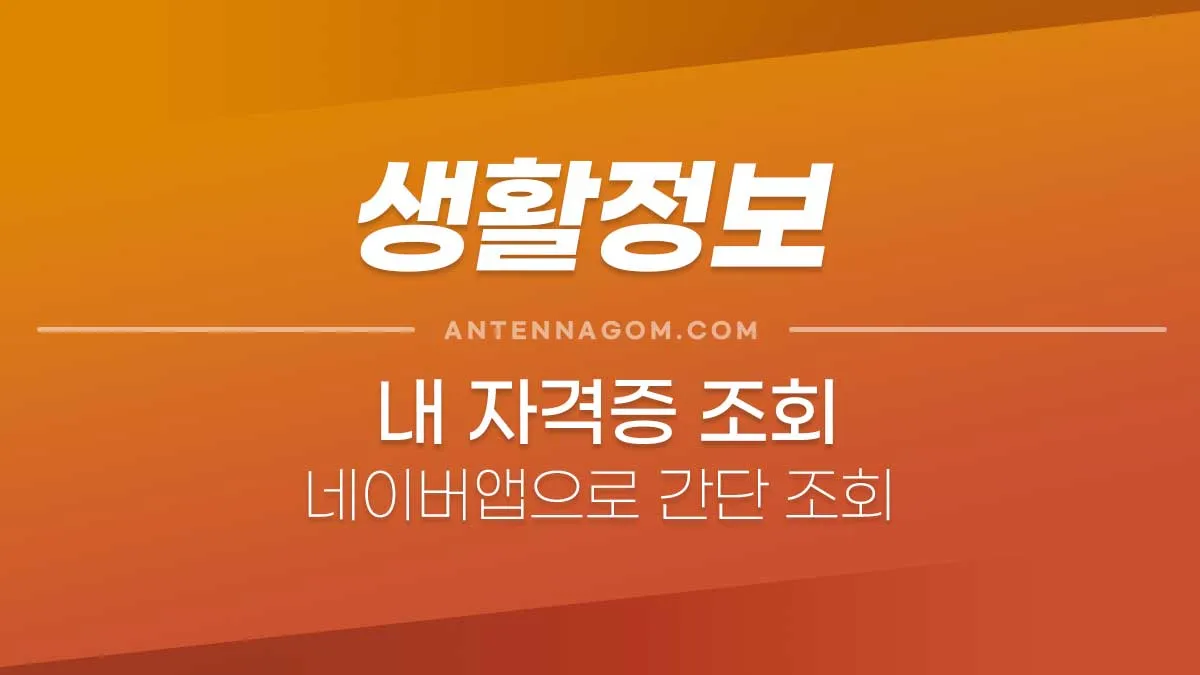 자격증조회-1