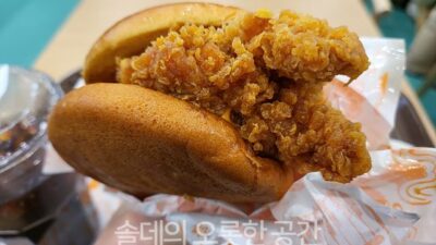 파파이스스파이시치킨리뷰0011