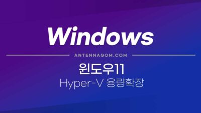 윈도우11 HYPER-V 가상 윈도우 용량 확장하기 24