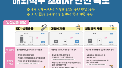 해외 직구 차단 품목